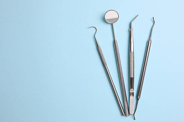 Top rated local Dental specialists in Egypt Lake-Leto, FL